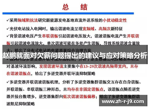 赵鹏就面对欠薪问题提出的建议与应对策略分析 赵鹏就面对欠薪问题提出的建议与应对策略分析