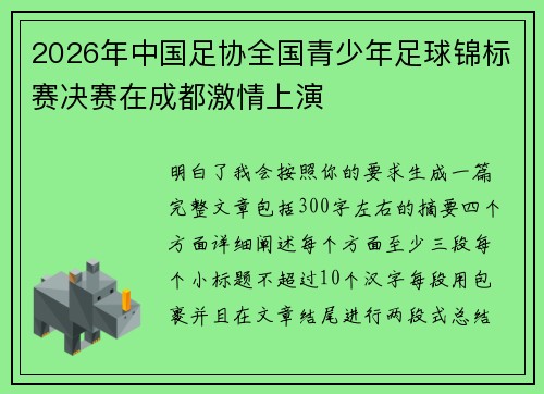 2026年中国足协全国青少年足球锦标赛决赛在成都激情上演
