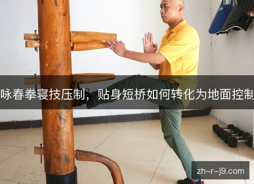 咏春拳寝技压制,贴身短桥如何转化为地面控制 咏春拳寝技压制,贴身短桥如何转化为地面控制